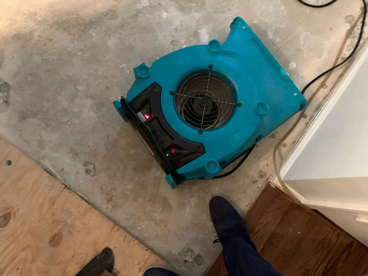 Air mover drying subfloor during Leak Detection & Repair in Pelham Manor